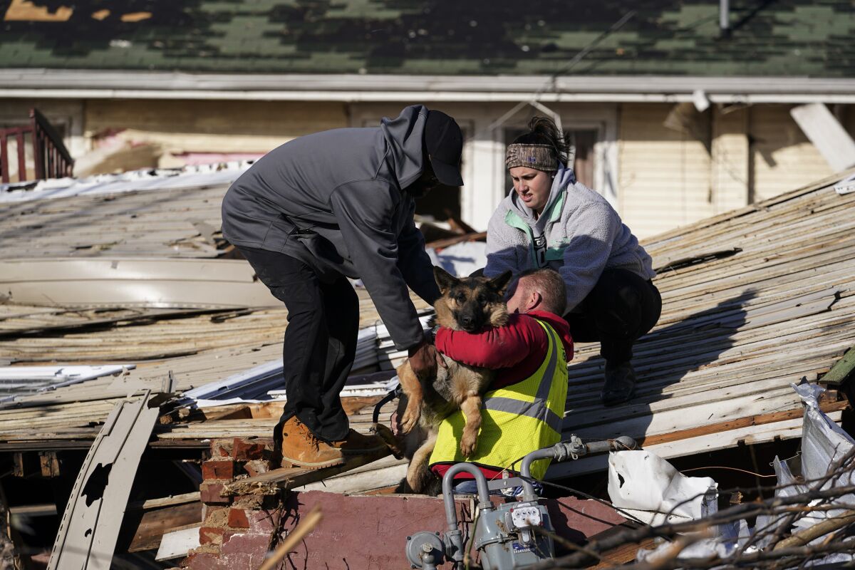 People rescue a dog from a tornado-damaged home.