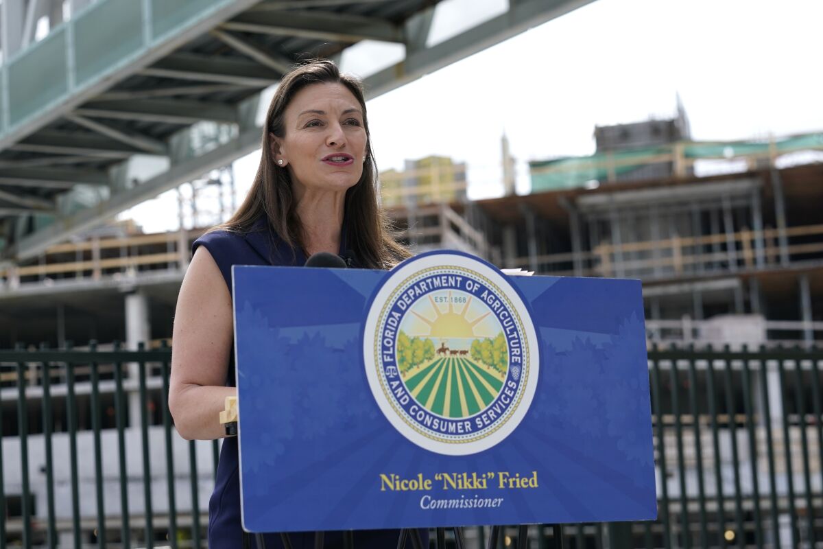 Florida Agriculture Commissioner Nikki Fried speaks about the Infrastructure Investment and Jobs Act recently passed by Congress, and the impact it will have on Florida, during a news conference, Tuesday, Nov. 9, 2021, in Miami. (AP Photo/Lynne Sladky)