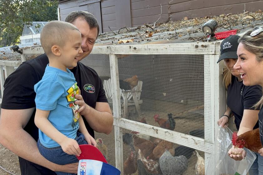 Andrew Pennington holds his son, Evan, as Danielle Judd and a volunteer show him a chicken.