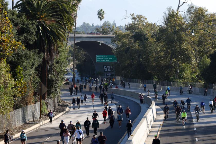 LOS ANGELES, CA - OCTOBER 29: People enjoy the route by foot and bike at Arroyofest, where the 110 freeway was closed off to cars from roughly the connection with I-5 to its terminus in Pasadena, allowing people to walk, bike and otherwise roll along the historic highway. Hundreds of people traversed the freeway, by foot and bike, throughout the morning at Arroyo Seco Parkway on Sunday, Oct. 29, 2023 in Los Angeles, CA. (Dania Maxwell / Los Angeles Times)