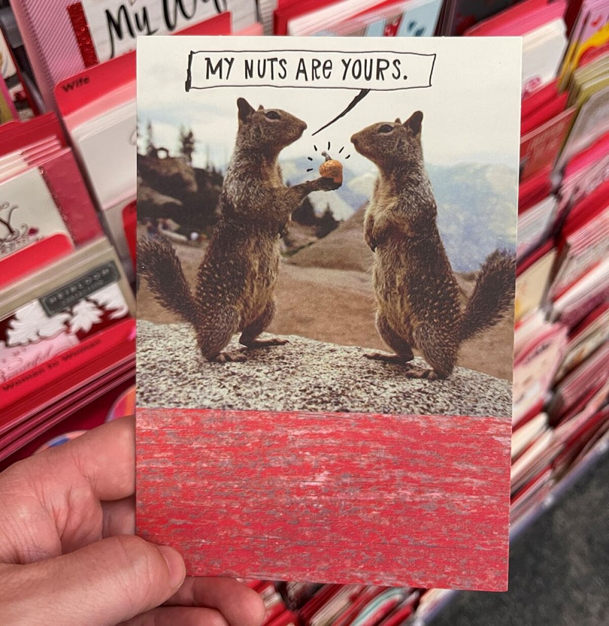 A card with two squirrels that reads my nuts are yours