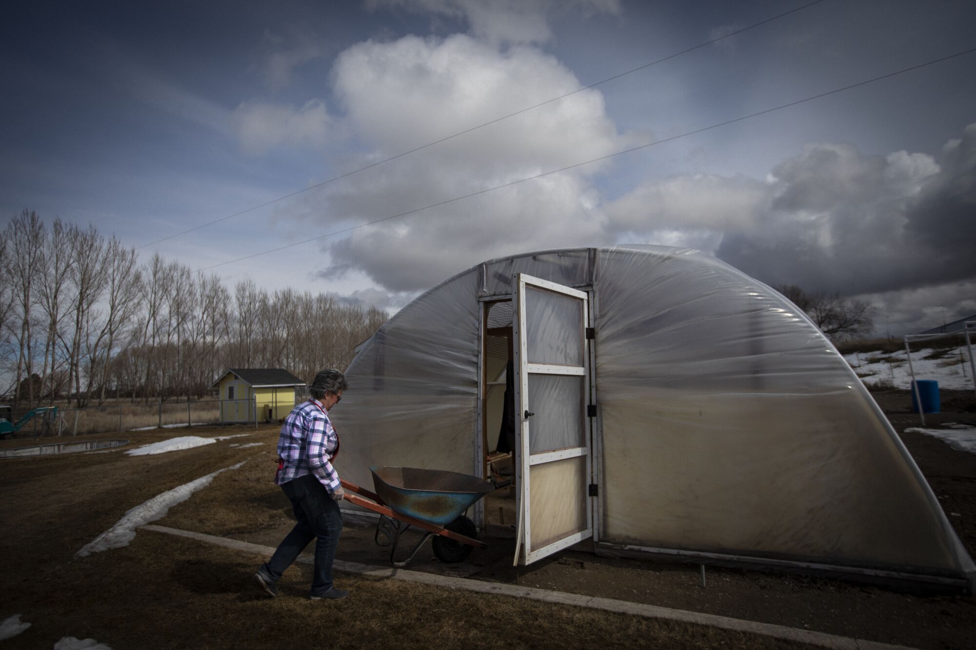 greenhouse
