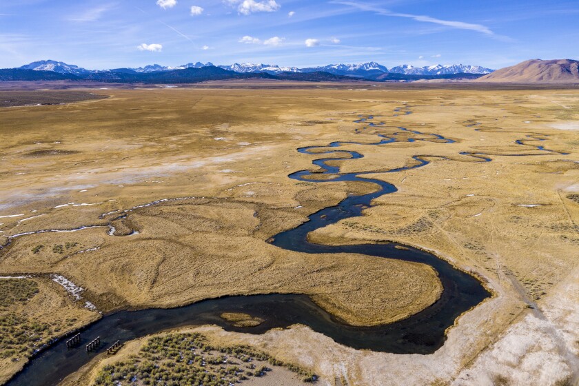 The Owens River flows through wetlands and pastures near Mammoth Lakes.
