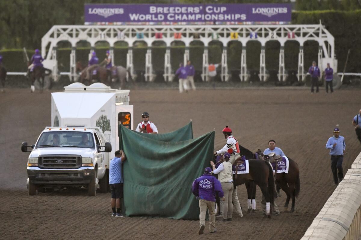 A green tent covers a horse surrounded by people at a horse track