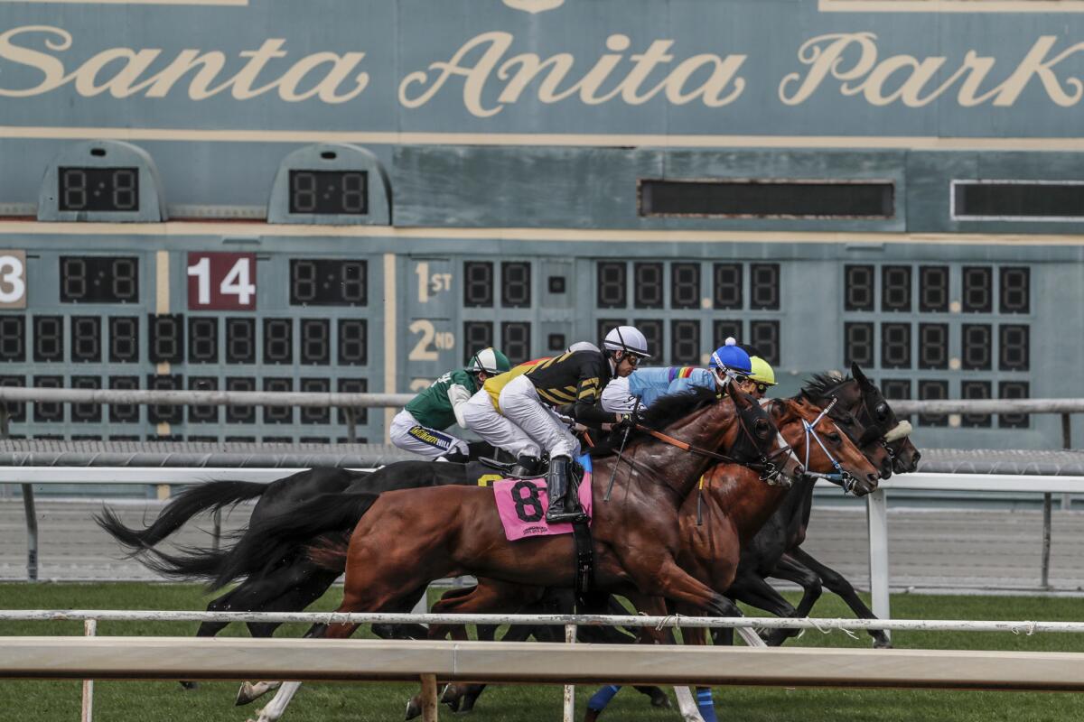As the public pressure to shut down Santa Anita’s race meet has grown, the fatality rate has dropped. There has been one fatality in the last 22 days of training and four of racing.