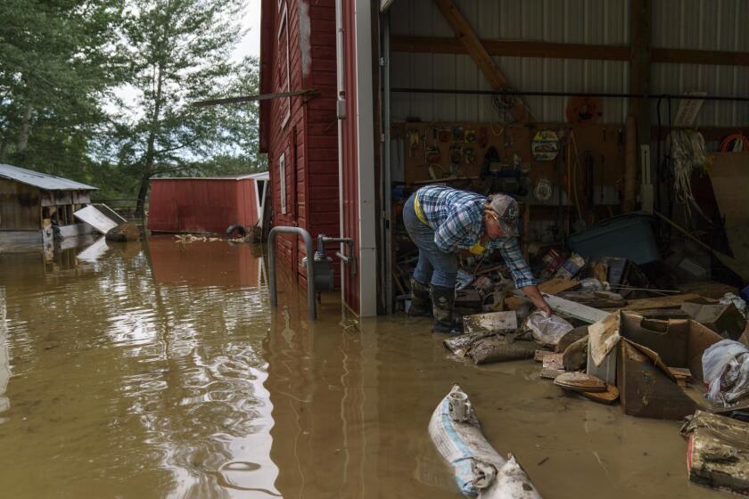 Lindi O'Brien sorts through personal mementos in the barn of her parent's home badly damaged by the severe flooding in Fromberg, Mont., Friday, June 17, 2022. As officials scramble to reopen Yellowstone National Park to tourists this week after record floods pounded southern Montana, some of those hardest hit in the disaster live far from the famous park's limelight and are leaning heavily on one another to pull their lives out of the mud. (AP Photo/David Goldman)