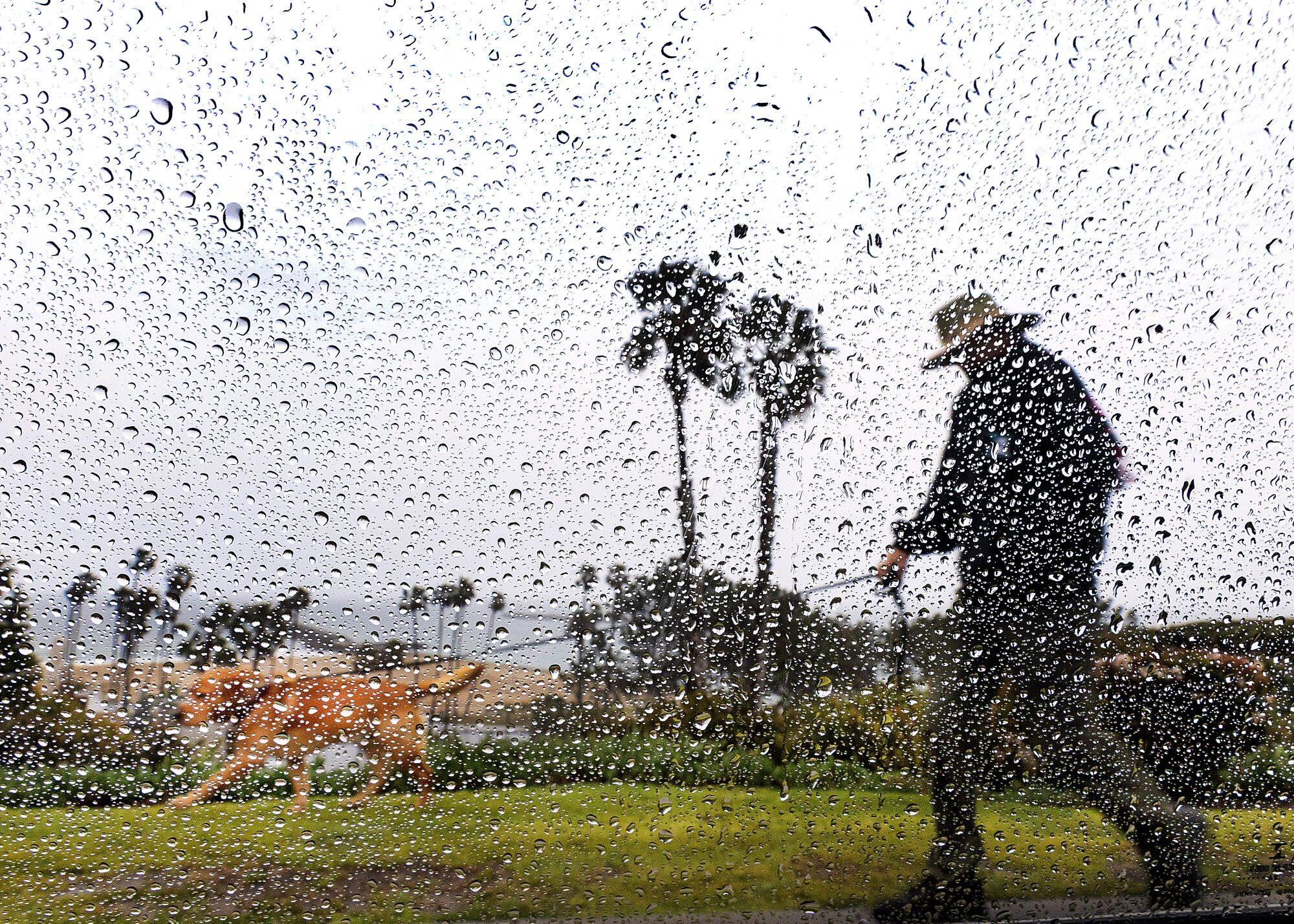 A person walking their dog in the rain is viewed through raindrops gathering on a window