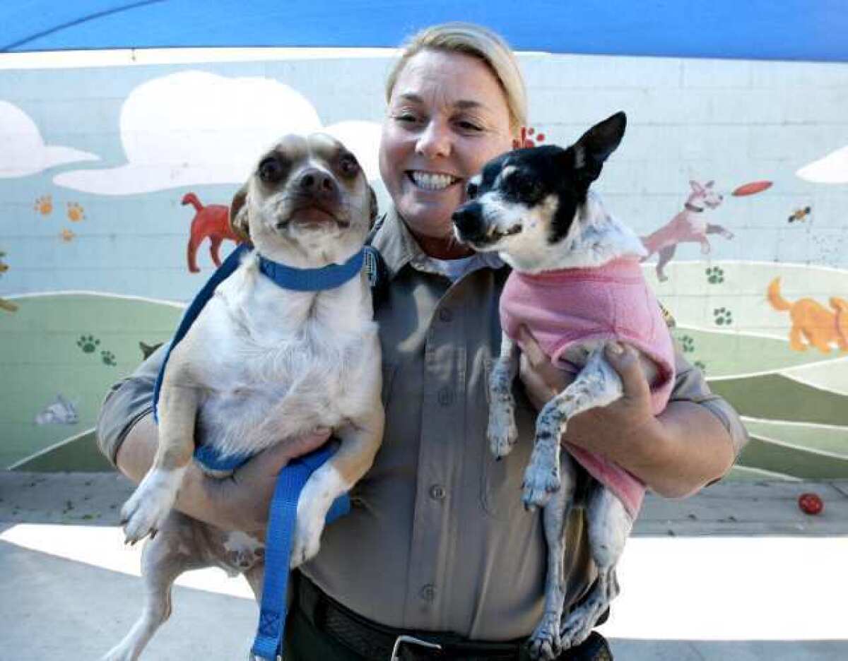 Burbank Police Dept. Senior Animal Control Officer Stacey Wood with Molly and Pica, who were returned three days after being adopted, at the Burbank Animal Shelter.