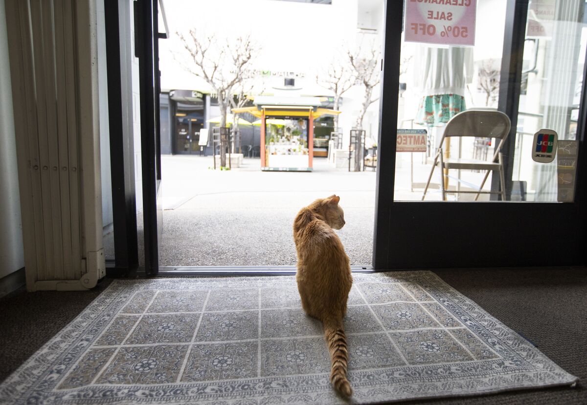 After eating lunch Mr. Sherman, sits near the front door of a women's boutique in Little Tokyo