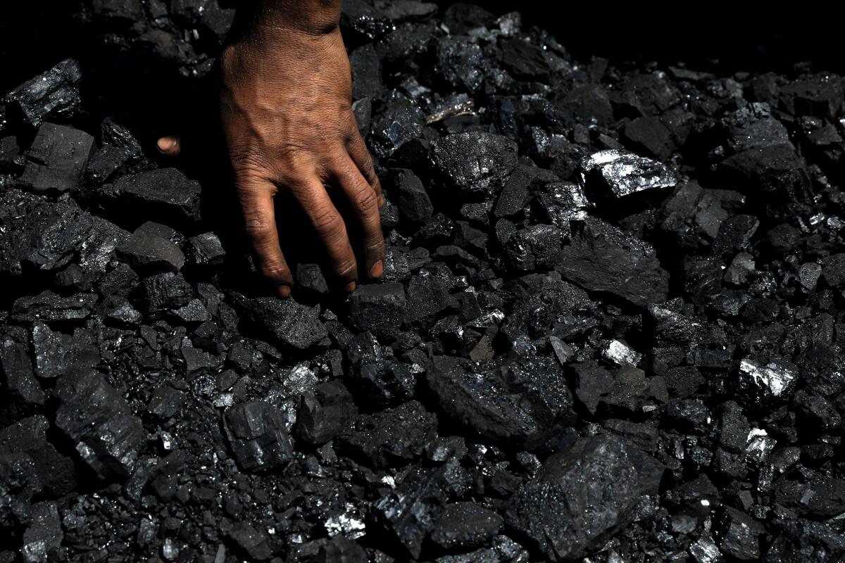 A hand reaches into black, shiny coal
