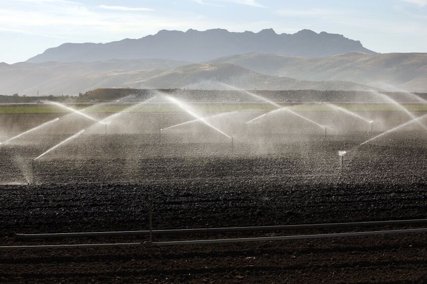 Farm fields on the Oxnard Plain being watered in April. The state has a new mandate for a 25% cut in urban water use.