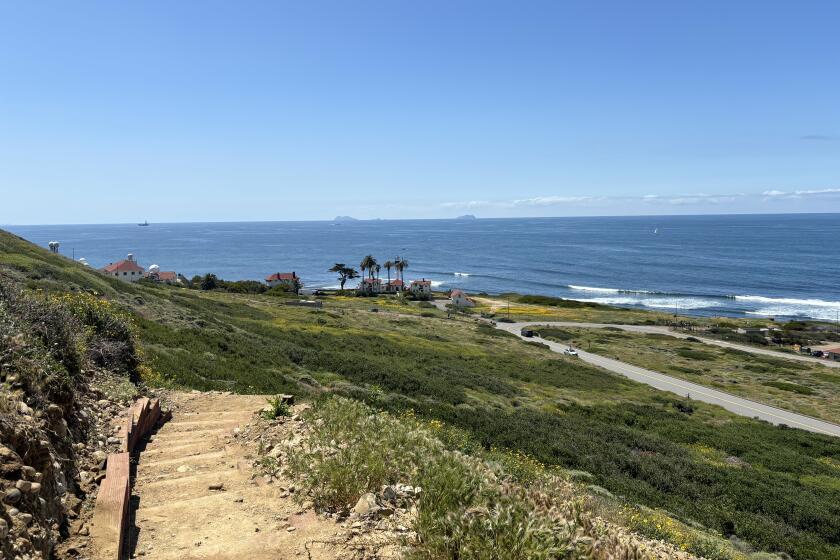 The Oceanside Trail is a new trail on the western side of Cabrillo National Monument.