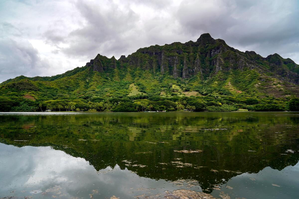 The Koolau mountain range from the Moli'i Fishpond.