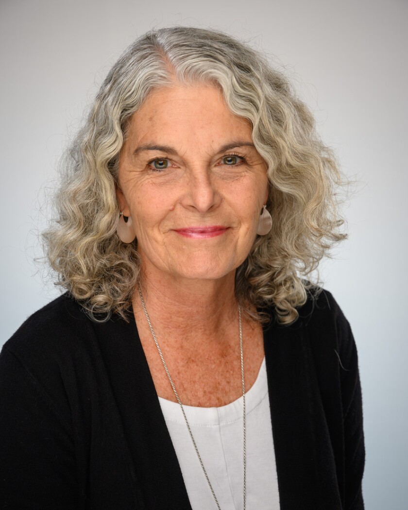 UCSD professor Nancy Postero says Scholars at Risk provides foreign scholars with refuge and community.