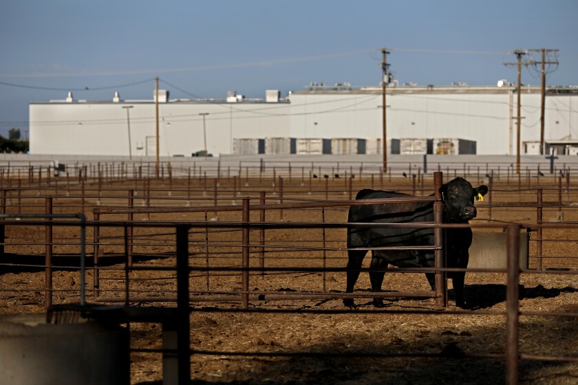 Central Valley Meat Co. 