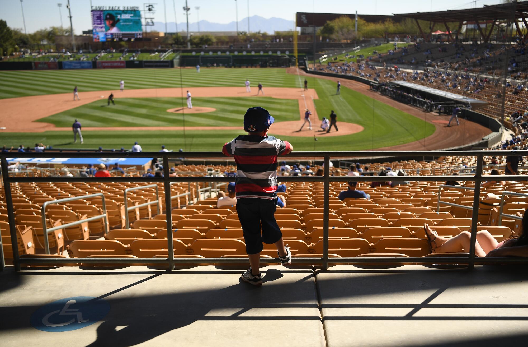 Adam Gonzales, 5, watches the Dodgers' Cactus League game.