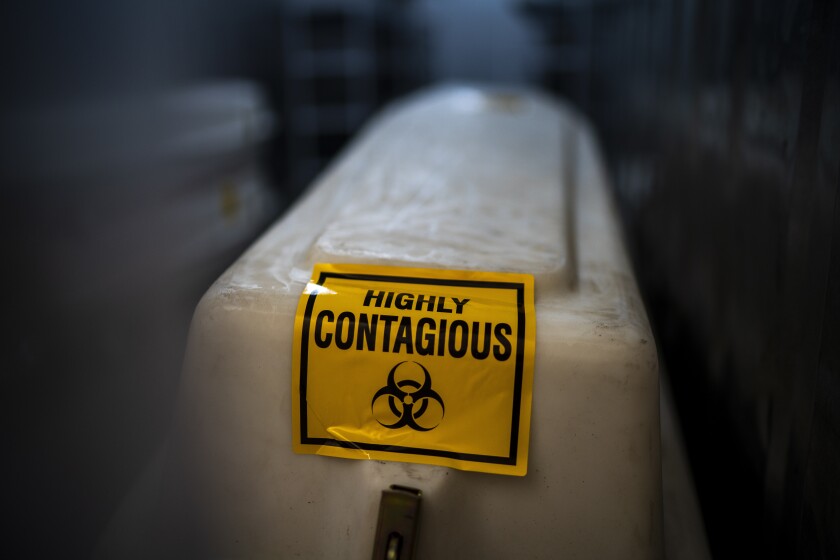 A sealed coffin containing the remains of a COVID-19 victim is stored in a refrigerated container in Johannesburg, Tuesday, Feb. 2, 2021, one day after South Africa gave a hero's welcome to the delivery of its first COVID-19 vaccines — 1 million doses of the AstraZeneca vaccine produced by the Serum Institute of India. (AP Photo/Jerome Delay)