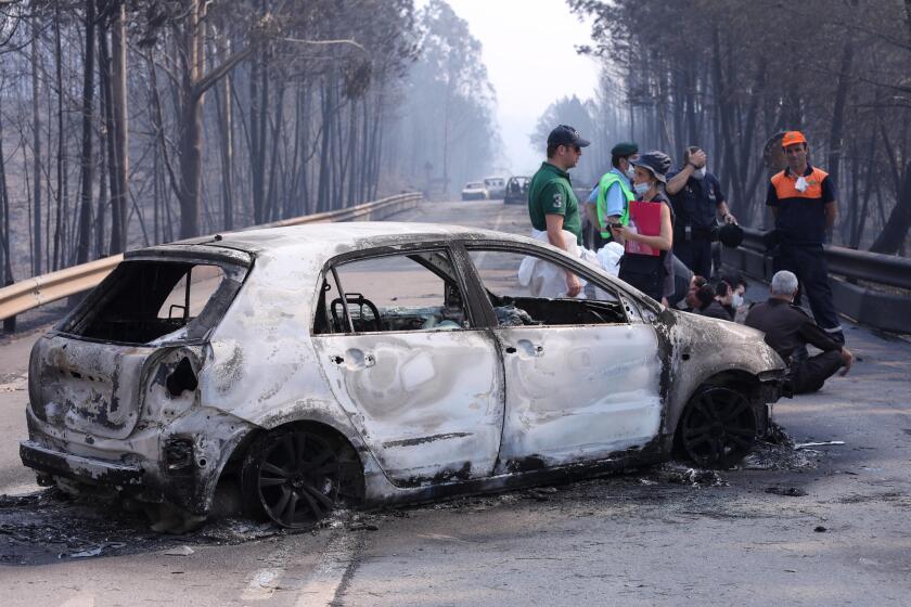 Firefighters and investigators work near a burned car on the N236 road between Figueiro dos Vinhos and Castanheira de Pera, near Pedrogao Grande.