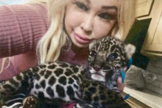 A photo contained within an indictment shows Trisha Meyer with the jaguar cub.