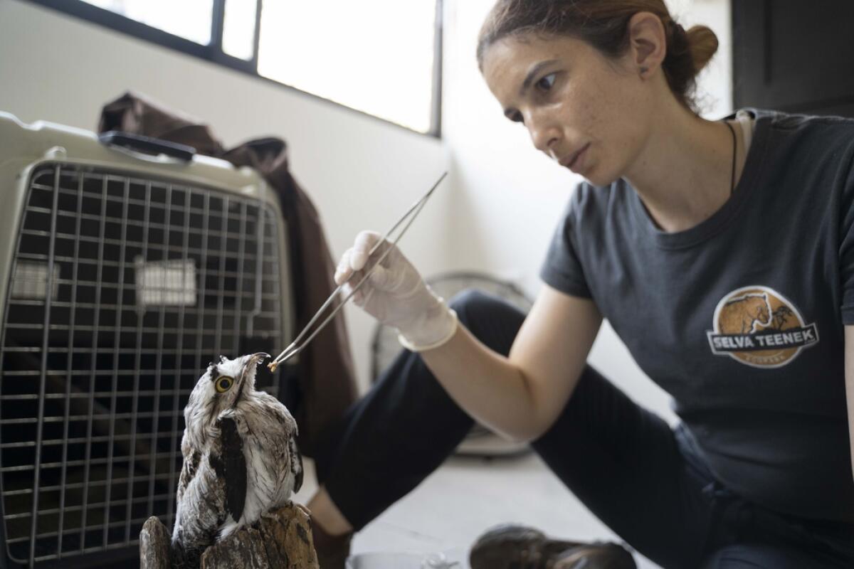 La veterinaria Sandra Polo Arias