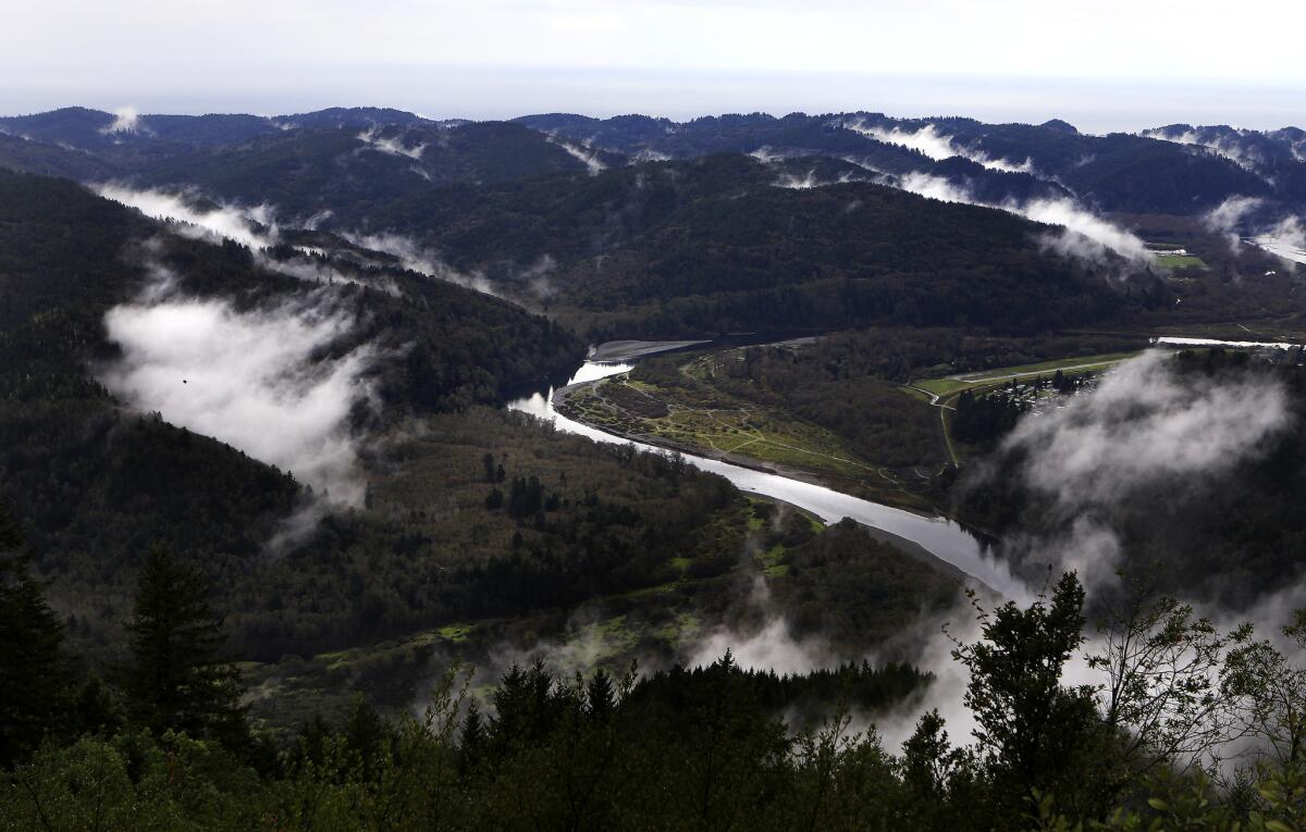 mountain jungle mist stock photos - OFFSET