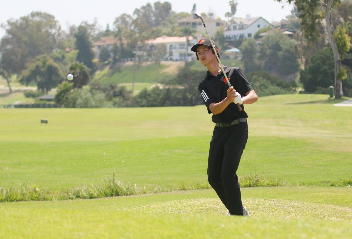 Falcon sophomore Colin Li