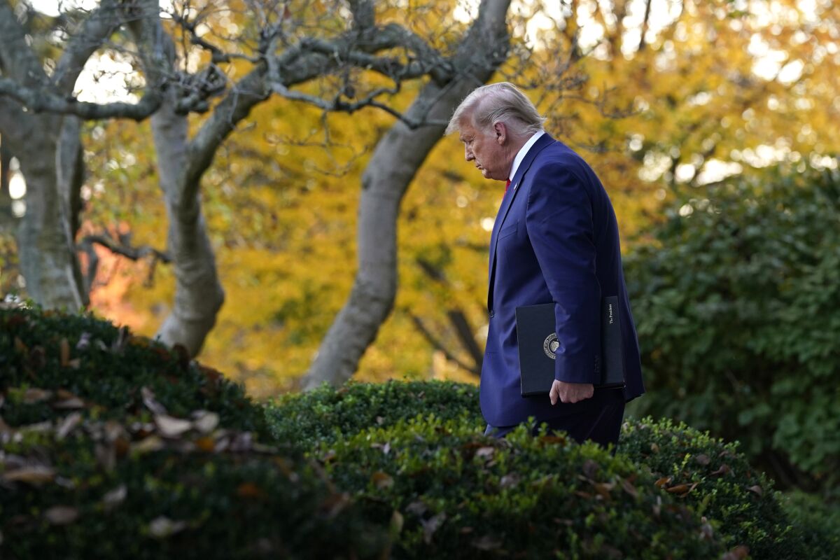 President Trump walks amid shrubbery and trees.