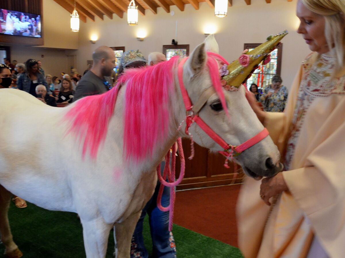 Rev. Canon Cindy Evans Voorhees, St. James Episcopal Church Newport Beach, blesses a 'unicorn.'