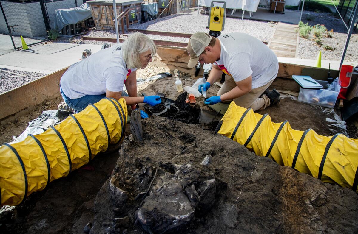 Two people kneel on the ground carefully excavating fossils 
