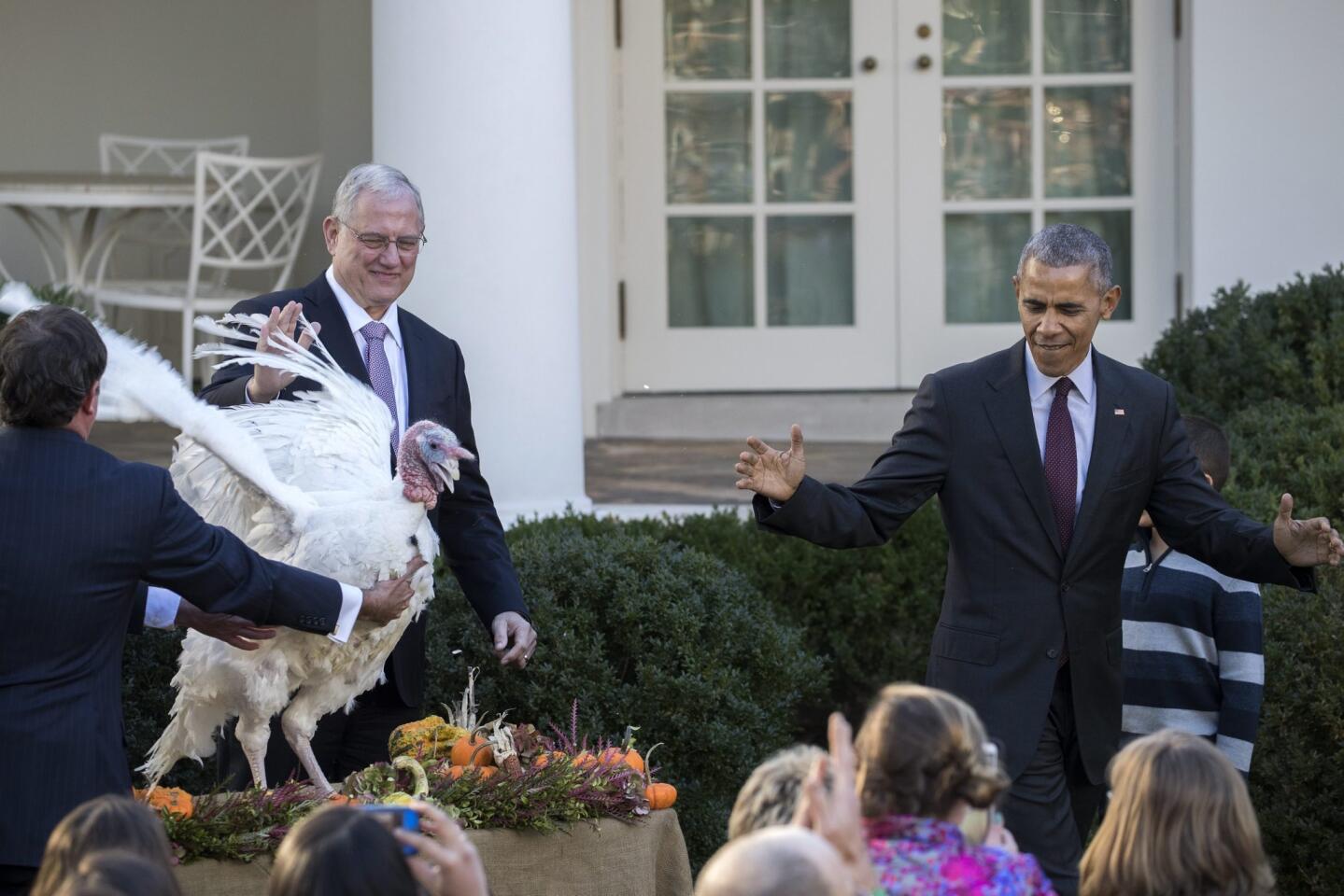 Obama perdonó la vida a dos pavos