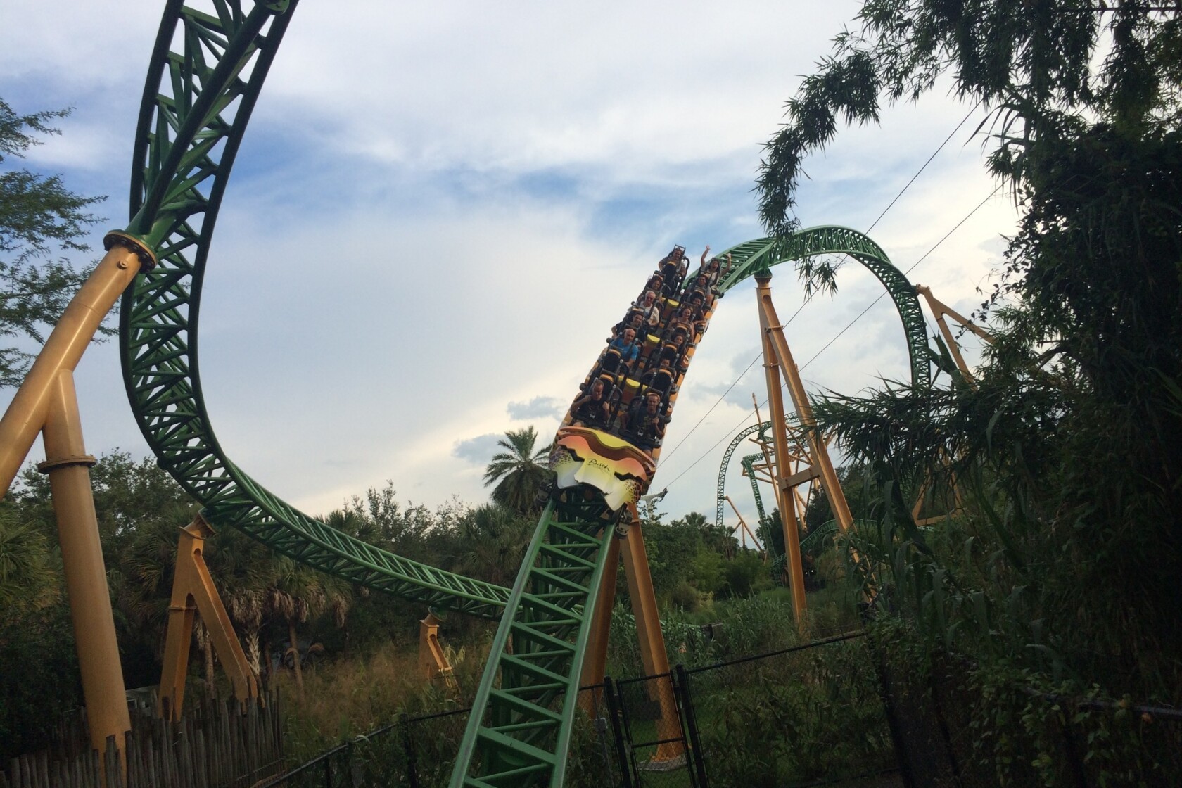 Wildlife Thrill Rides Come Together At Busch Gardens Los