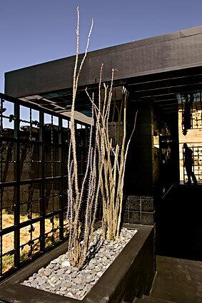 Robert Stone's one-bedroom dwelling "Rosa Muerta" on the outskirts of Joshua Tree