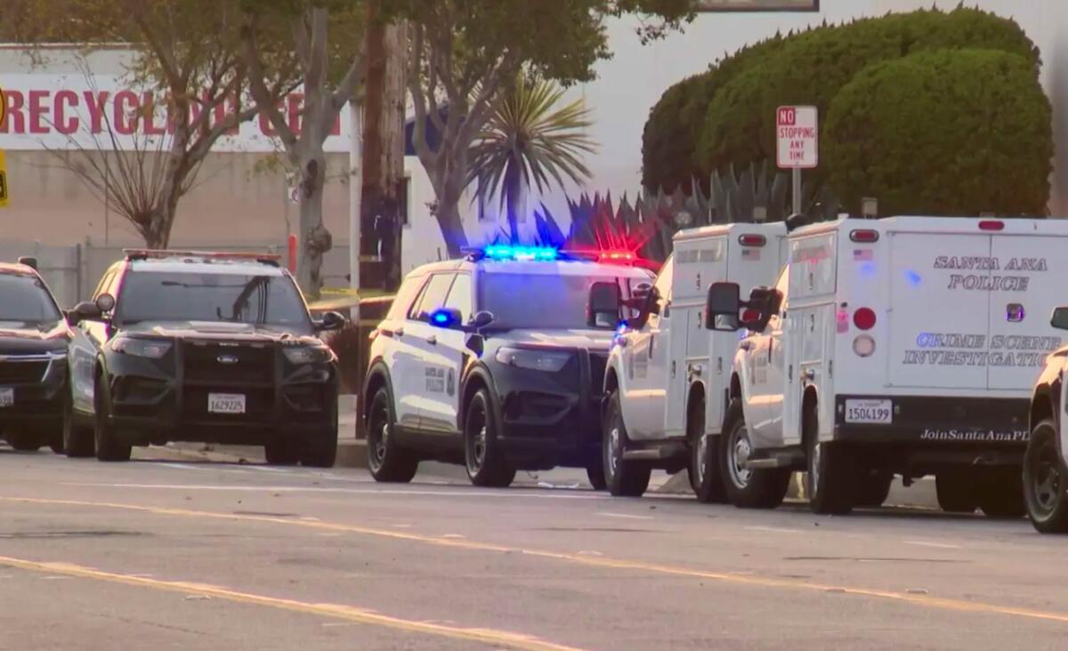 Police cars surround a crime scene