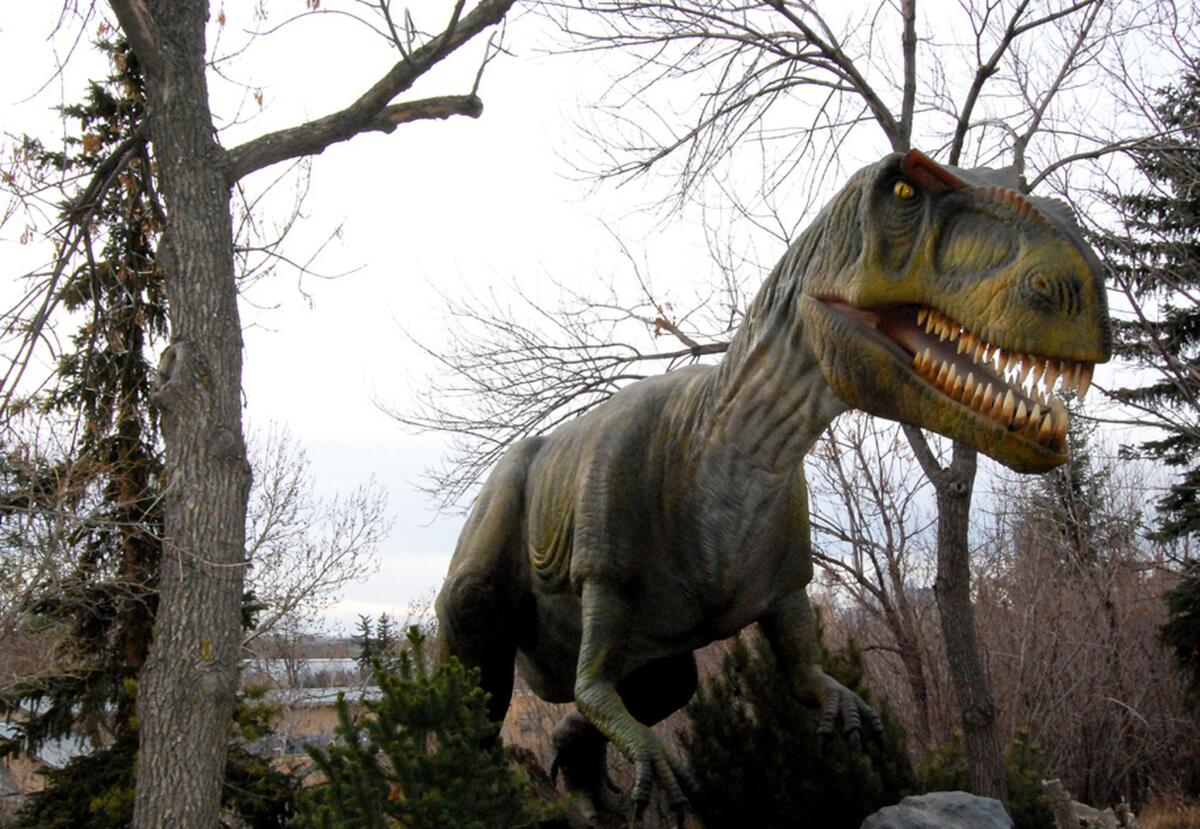 Dinosaurs Alive, on at the Calgary Zoo until end of October 2015, features life-size dinosaur models, some animatronic.