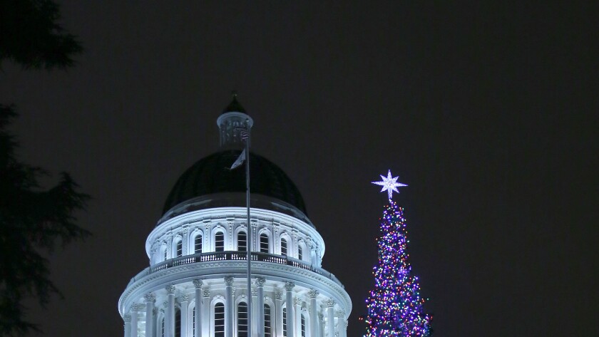 The state Christmas tree glows after lighting ceremonies at the Capitol in Sacramento on Dec. 2.