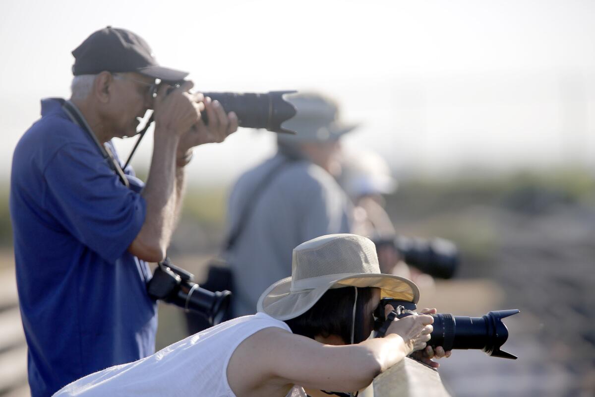 Photographers take photos of water birds during the annual Bolsa Chica Earth Day Festival in 2017.