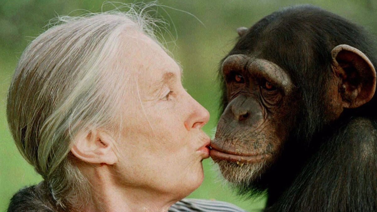 Goodall, seen here in 1997, gives a kiss to Tess, a female chimpanzee at a sanctuary in Kenya.