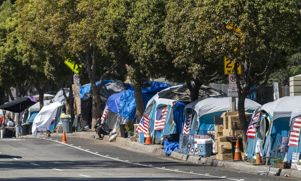 A homeless encampment along a tree-lined street.