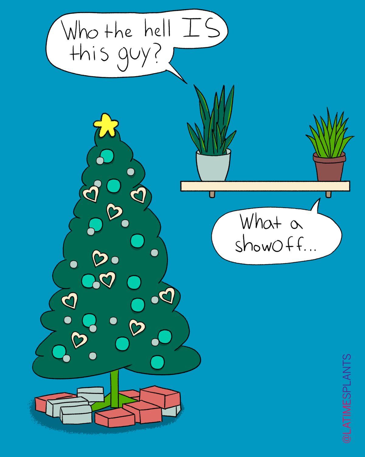 A showy houseplant.