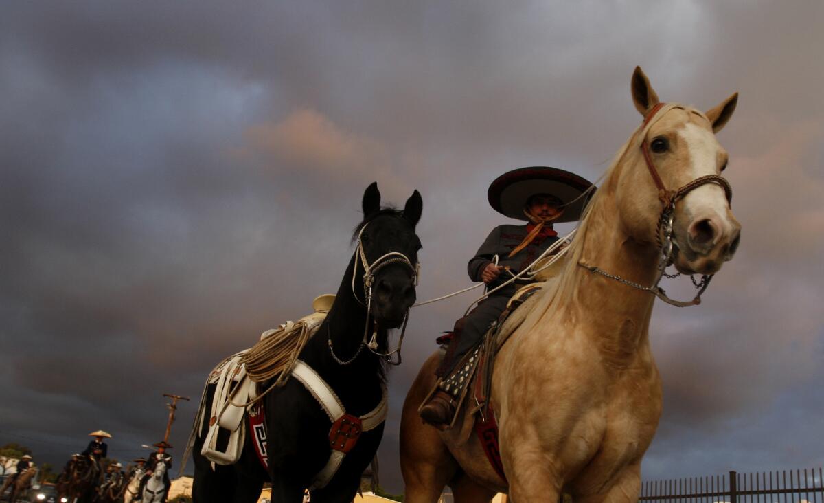 A Mexican cowboy known as a Charro leads a riderless horse on Nov. 10, 2010, during the funeral for Hermilio Franco, a Mexican actor who was killed in a home-invasion robbery.