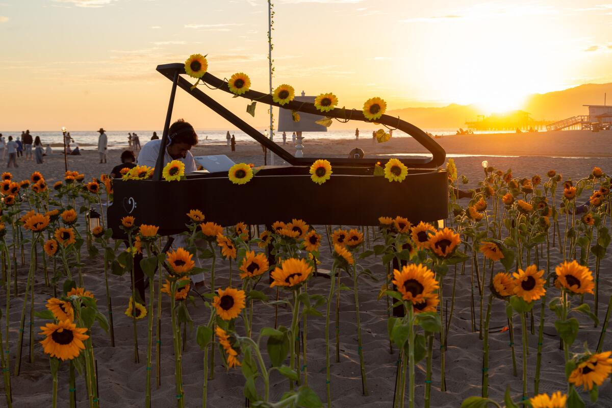 Murray Hidary plays a keyboard inside a piano on the beach in a field of sunflowers.