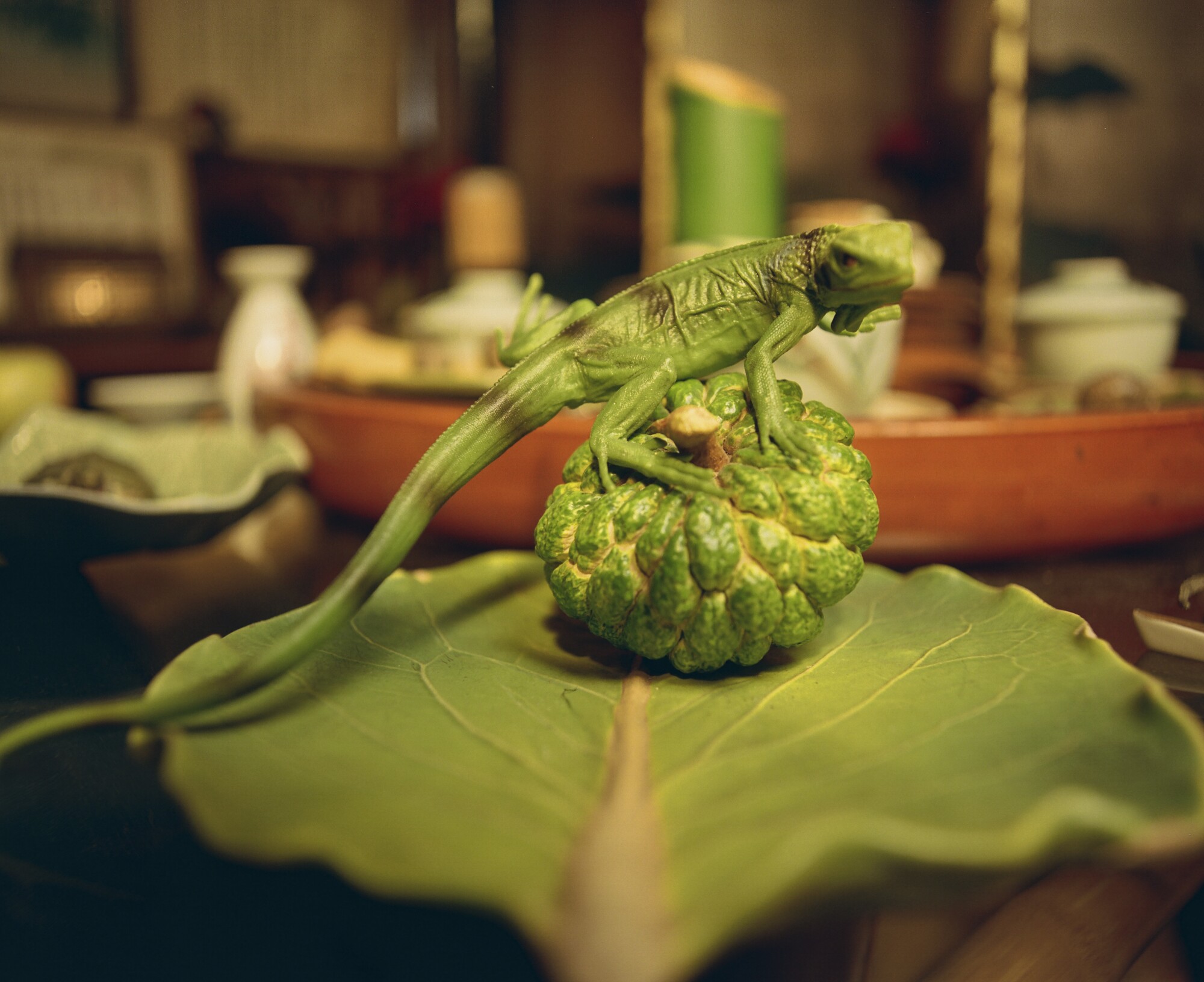 Lai collects lifelike models of food often used by Japanese restaurants.