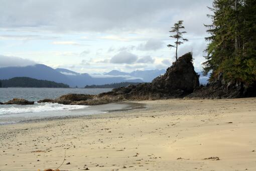 A photo of beautiful seascape under a cloudy sky in Bamfield, British Columbia, Canada