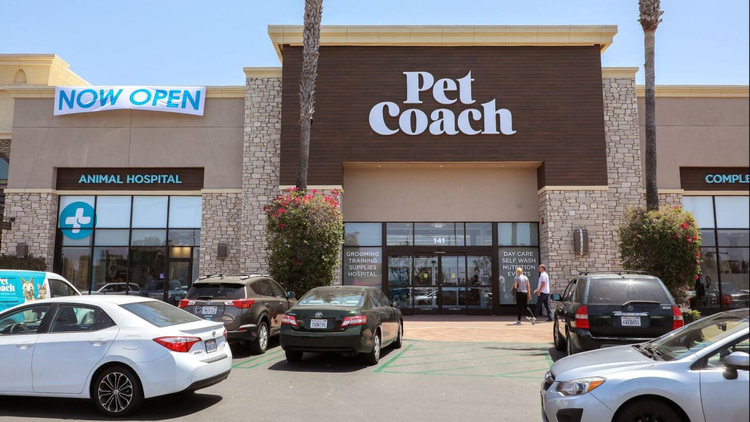 PetSmart vs. Chewy: Find Out Which Pet Store Is Cheaper - CNET