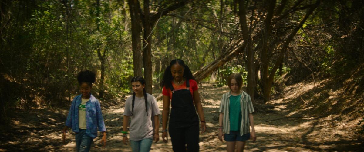 Four girls walk in the middle of a grove of trees.