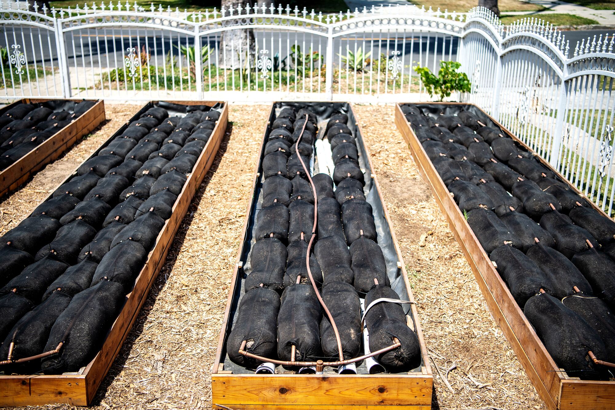 A row of long raised garden beds filled with soil encased in sausage-like bundles waited to be planted.