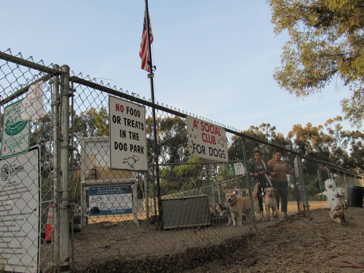 Canine Corners, a fenced-in dog area at Harry Griffen Park, is one of the main attractions at the regional park in La Mesa.