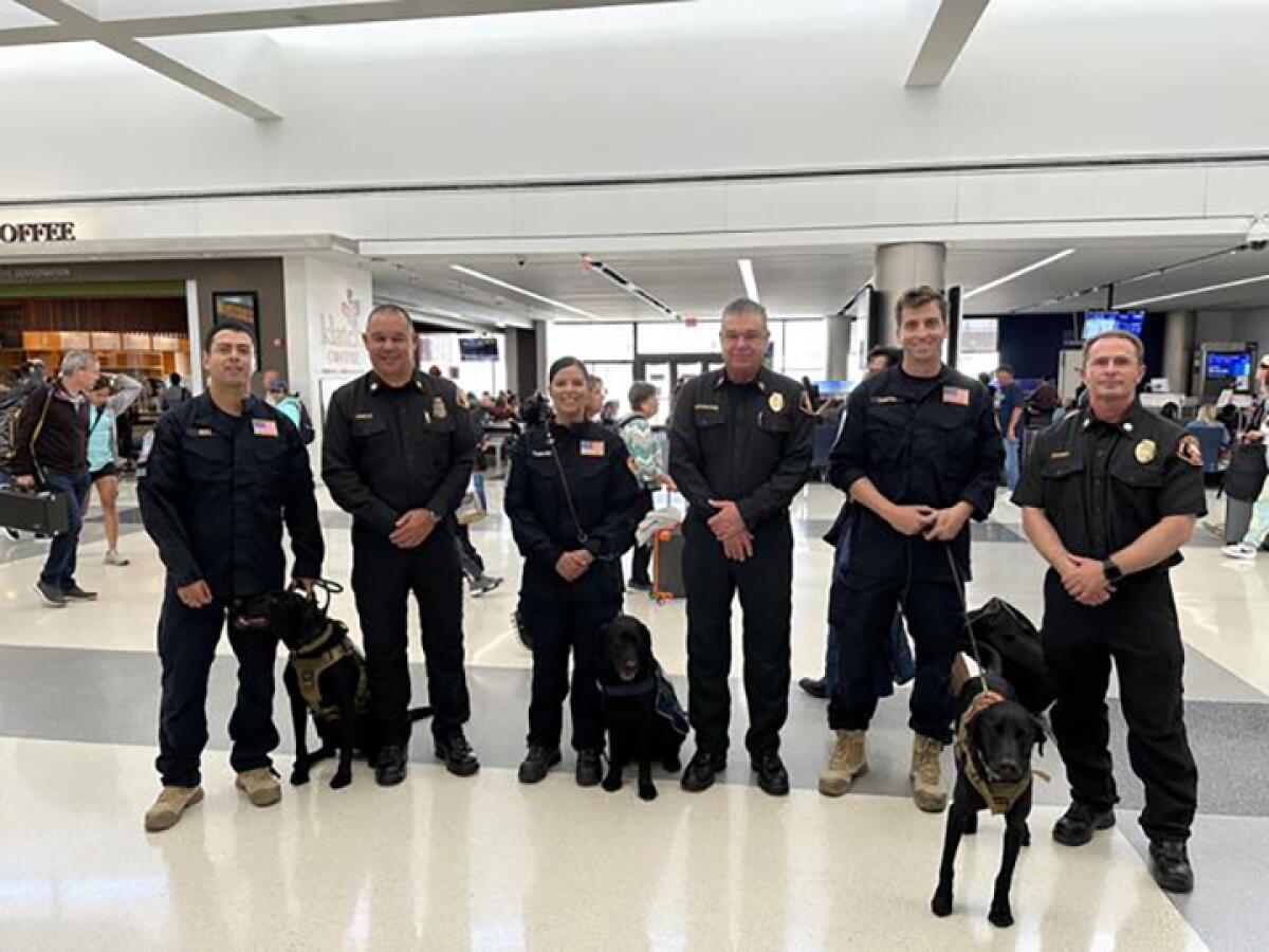 Six people in uniform stand in an airport with their dogs.