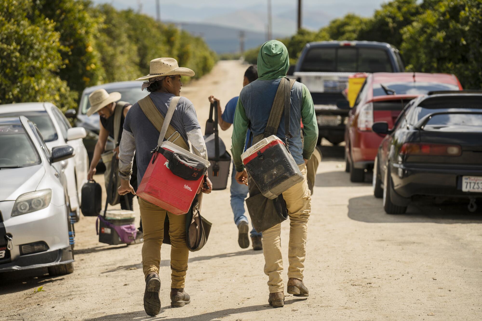 Farmworkers walk to their cars