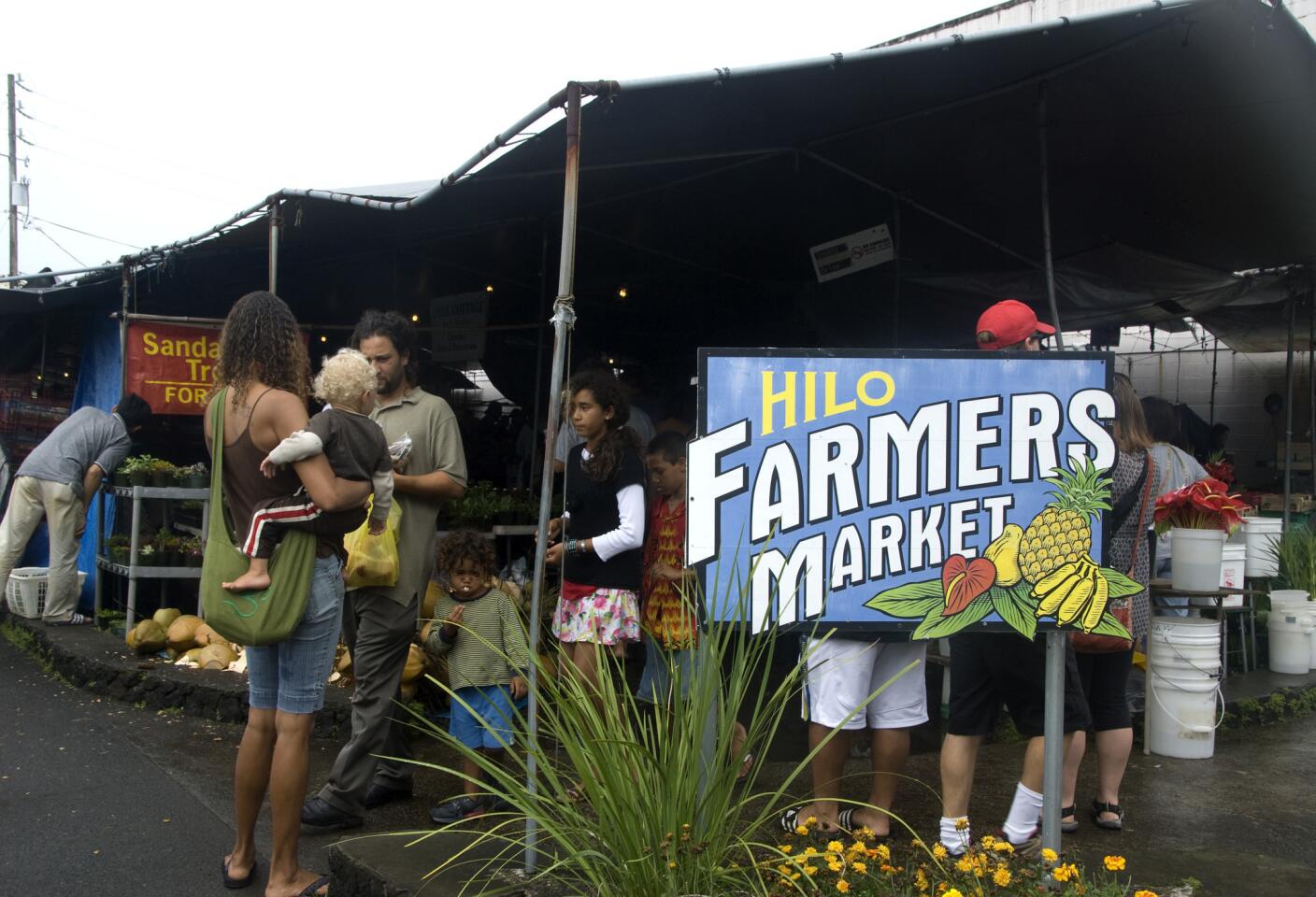 Pick up some island-grown food in Hilo.